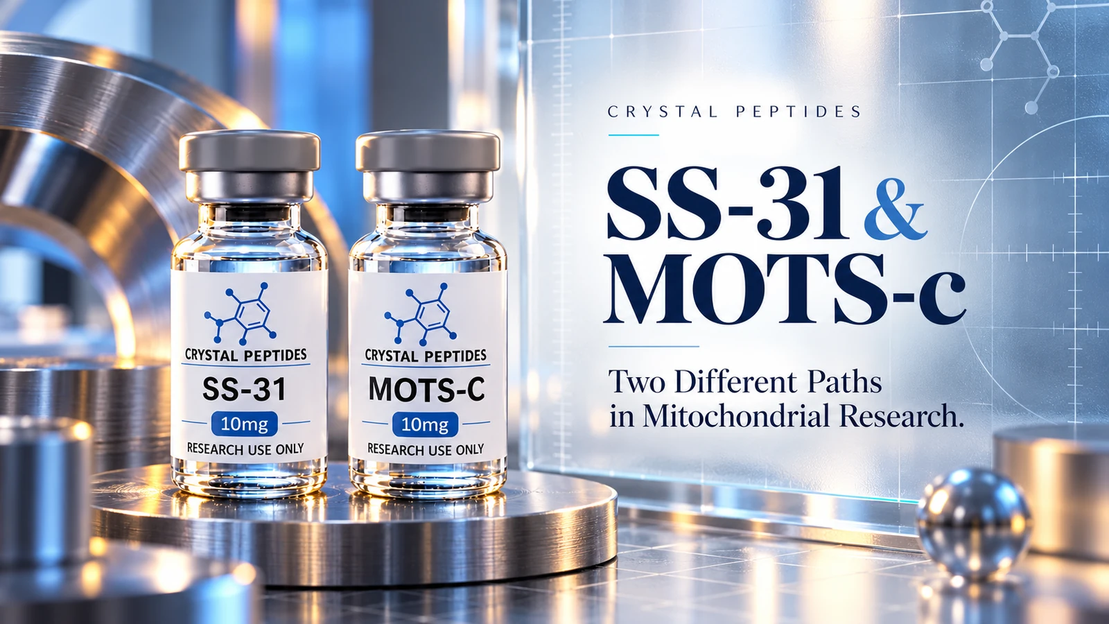 Redaktionell produktillustration: SS-31 / MOTS-c — Crystal Peptides.